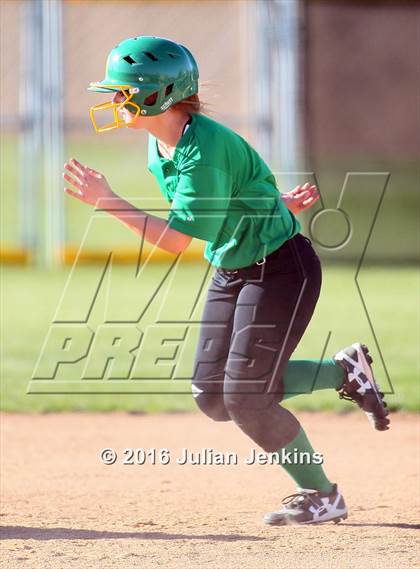 Thumbnail 3 in Borah @ Meridian photogallery.