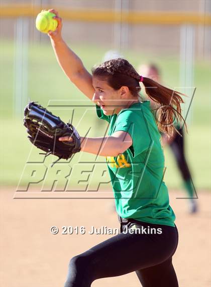 Thumbnail 1 in Borah @ Meridian photogallery.