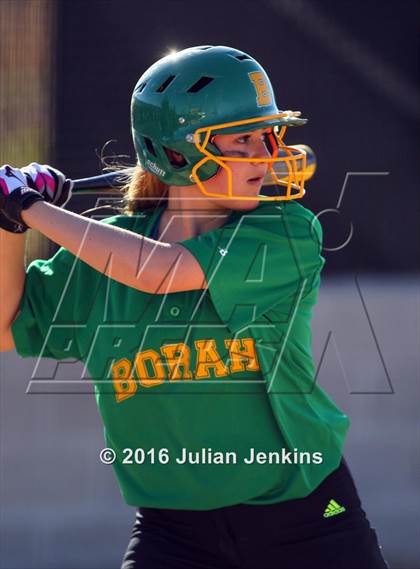 Thumbnail 2 in Borah @ Meridian photogallery.