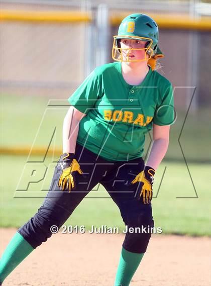 Thumbnail 3 in Borah @ Meridian photogallery.