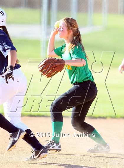Thumbnail 3 in Borah @ Meridian photogallery.