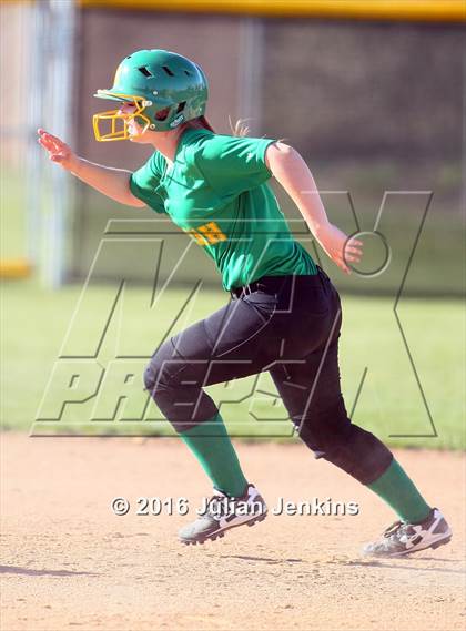 Thumbnail 1 in Borah @ Meridian photogallery.