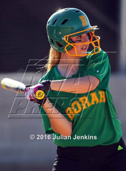 Thumbnail 3 in Borah @ Meridian photogallery.
