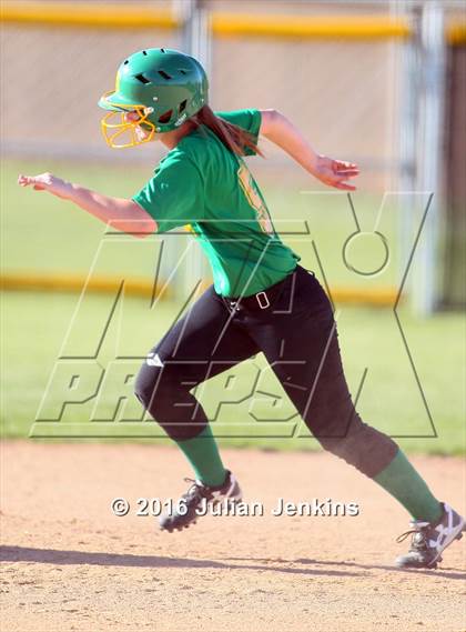 Thumbnail 1 in Borah @ Meridian photogallery.