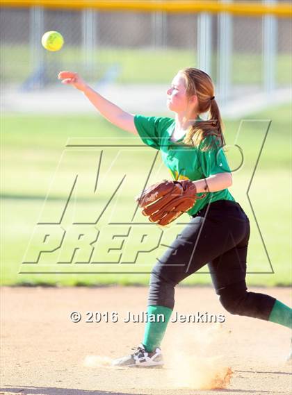 Thumbnail 1 in Borah @ Meridian photogallery.