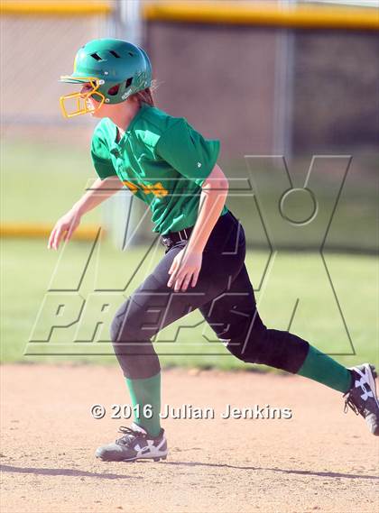 Thumbnail 2 in Borah @ Meridian photogallery.