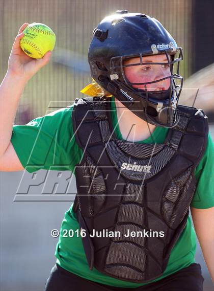 Thumbnail 3 in Borah @ Meridian photogallery.