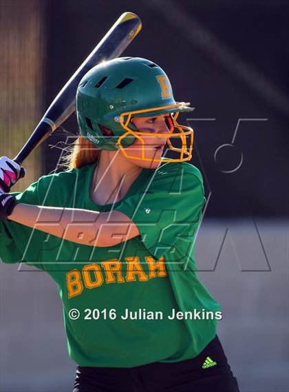 Thumbnail 1 in Borah @ Meridian photogallery.