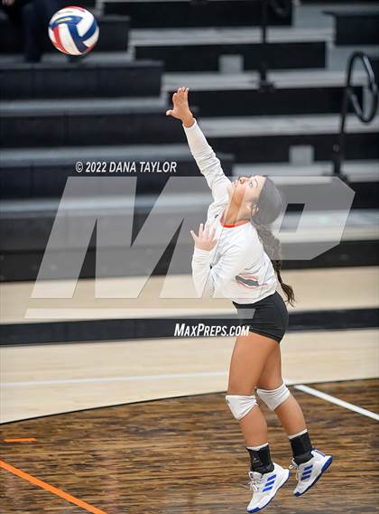 Thumbnail 2 in Decatur @ Springtown photogallery.