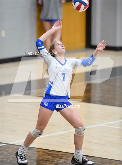 Thumbnail 2 in Decatur @ Springtown photogallery.