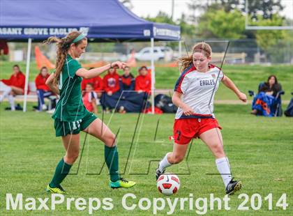 Thumbnail 1 in Ponderosa @ Pleasant Grove photogallery.