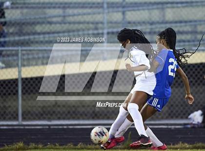 Thumbnail 3 in First Coast @ ED White photogallery.