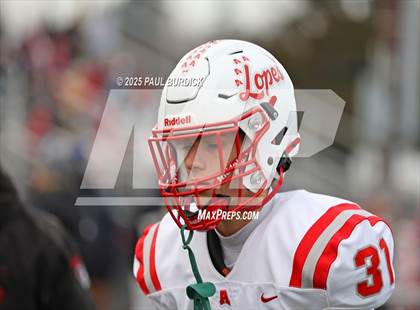 Thumbnail 1 in Avonworth @ Northwestern Lehigh (PIAA 3A Final) photogallery.