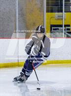 Photo from the gallery "Wilton @ Westhill"
