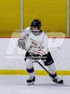 Photo from the gallery "Wilton @ Westhill"