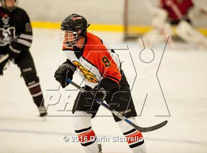 Thumbnail 2 in Hamilton vs. Corona del Sol photogallery.