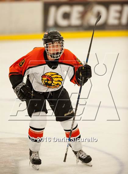 Thumbnail 2 in Hamilton vs. Corona del Sol photogallery.