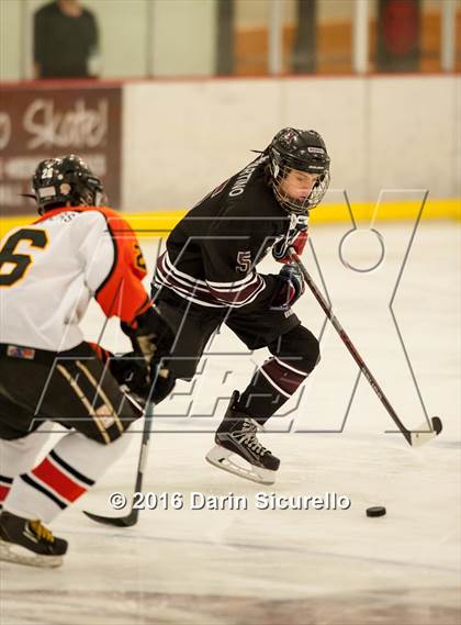 Thumbnail 1 in Hamilton vs. Corona del Sol photogallery.