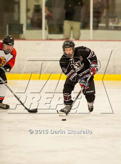 Thumbnail 1 in Hamilton vs. Corona del Sol photogallery.