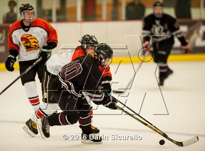Thumbnail 3 in Hamilton vs. Corona del Sol photogallery.