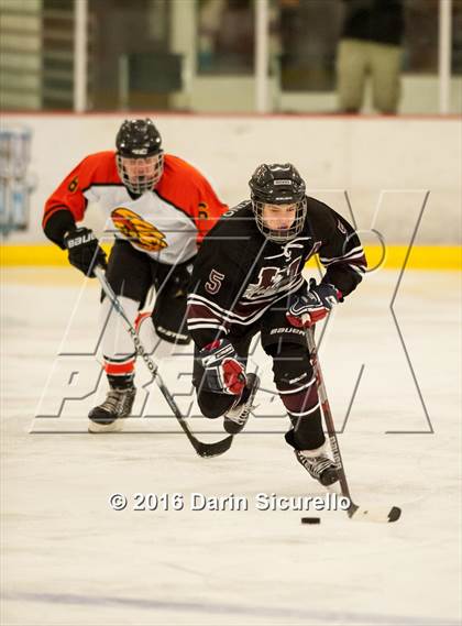Thumbnail 3 in Hamilton vs. Corona del Sol photogallery.