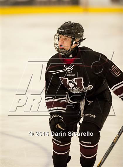 Thumbnail 1 in Hamilton vs. Corona del Sol photogallery.