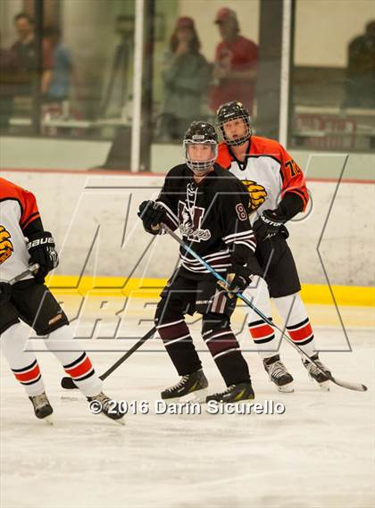 Thumbnail 2 in Hamilton vs. Corona del Sol photogallery.
