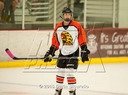 Thumbnail 1 in Hamilton vs. Corona del Sol photogallery.