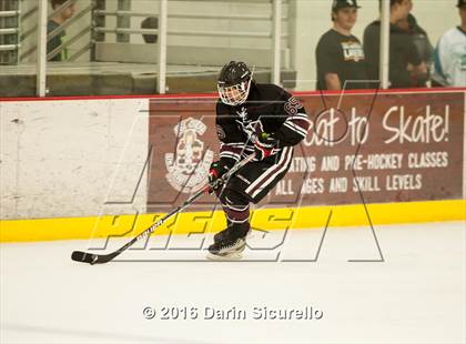 Thumbnail 1 in Hamilton vs. Corona del Sol photogallery.