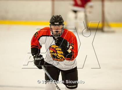 Thumbnail 3 in Hamilton vs. Corona del Sol photogallery.