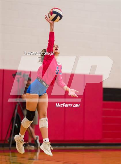 Thumbnail 2 in Johnson vs. Leander photogallery.