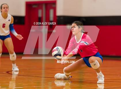 Thumbnail 1 in Johnson vs. Leander photogallery.