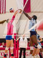 Photo from the gallery "Johnson vs. Leander"