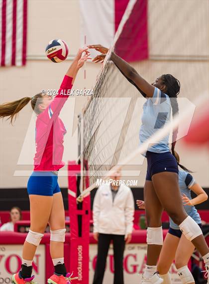 Thumbnail 3 in Johnson vs. Leander photogallery.