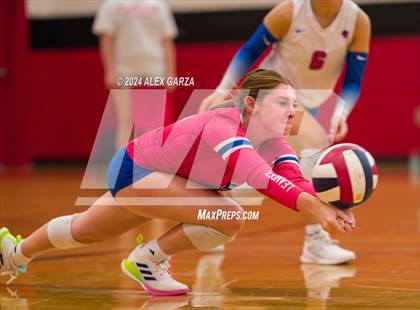 Thumbnail 1 in Johnson vs. Leander photogallery.