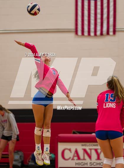 Thumbnail 3 in Johnson vs. Leander photogallery.