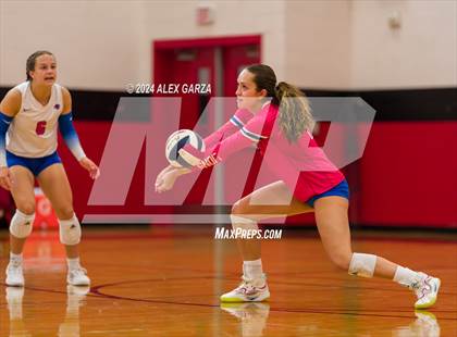 Thumbnail 3 in Johnson vs. Leander photogallery.