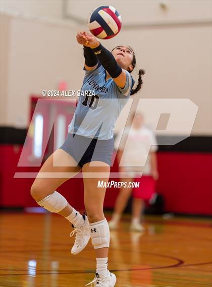 Thumbnail 2 in Johnson vs. Leander photogallery.
