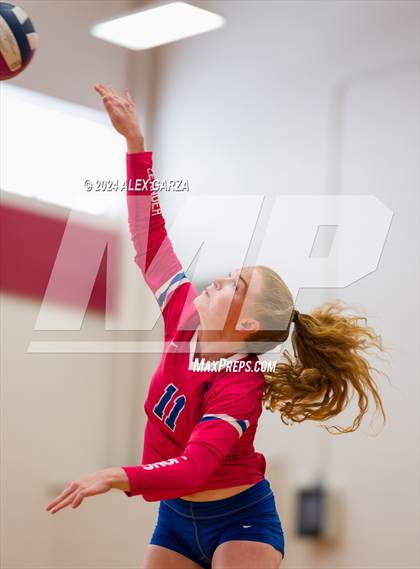 Thumbnail 3 in Johnson vs. Leander photogallery.