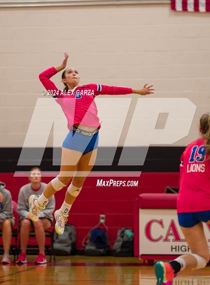 Thumbnail 2 in Johnson vs. Leander photogallery.