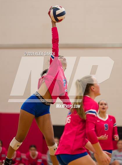Thumbnail 2 in Johnson vs. Leander photogallery.