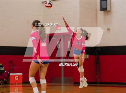 Thumbnail 3 in Johnson vs. Leander photogallery.