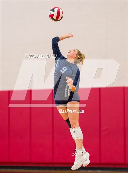 Thumbnail 3 in Johnson vs. Leander photogallery.