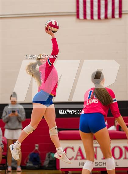 Thumbnail 1 in Johnson vs. Leander photogallery.