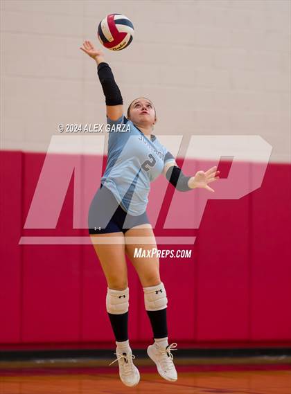 Thumbnail 1 in Johnson vs. Leander photogallery.