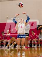 Photo from the gallery "Johnson vs. Leander"