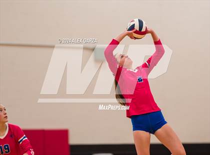 Thumbnail 1 in Johnson vs. Leander photogallery.