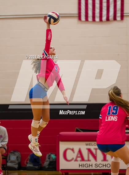 Thumbnail 1 in Johnson vs. Leander photogallery.
