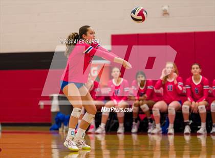 Thumbnail 2 in Johnson vs. Leander photogallery.