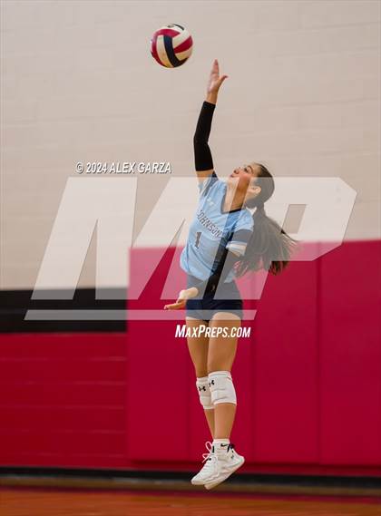 Thumbnail 1 in Johnson vs. Leander photogallery.
